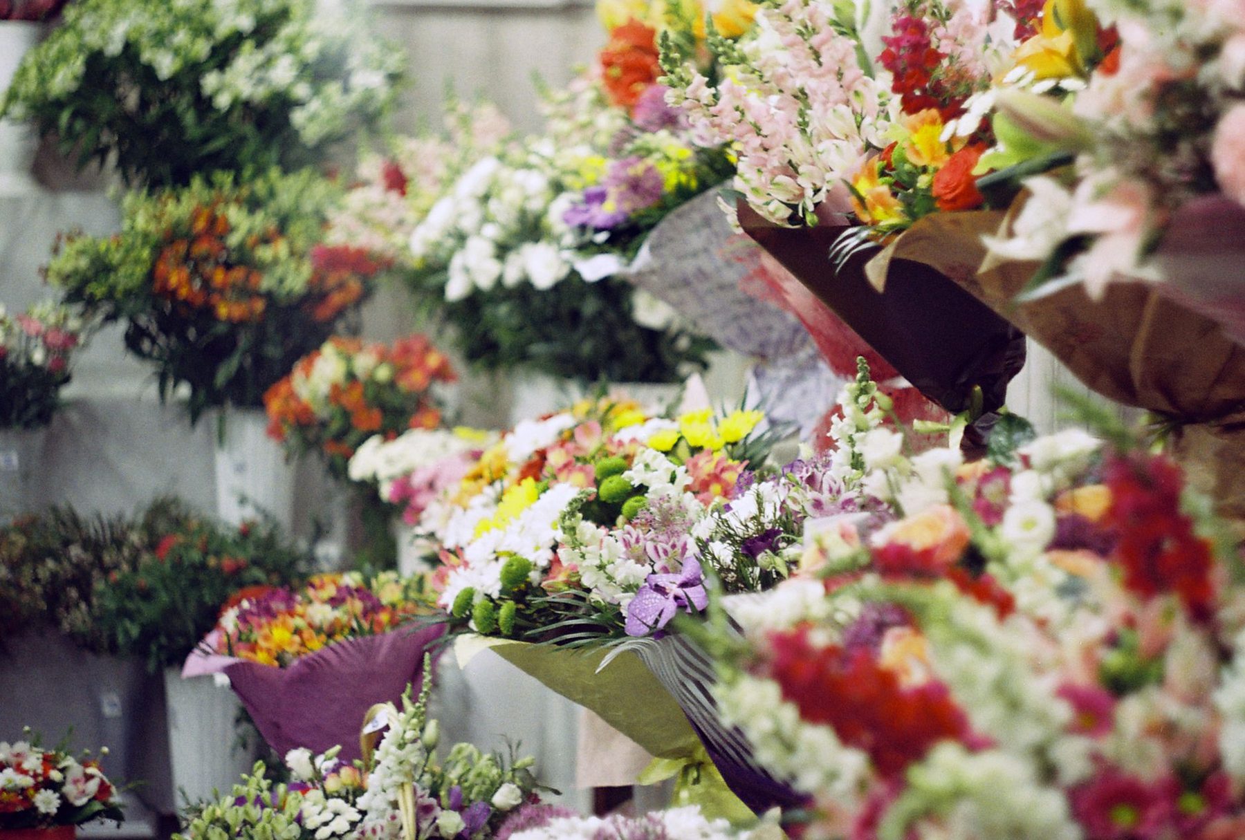 Boutique de l'Atelier Camélia remplie de bouquets de fleurs fraîches de saison, prêts à offrir